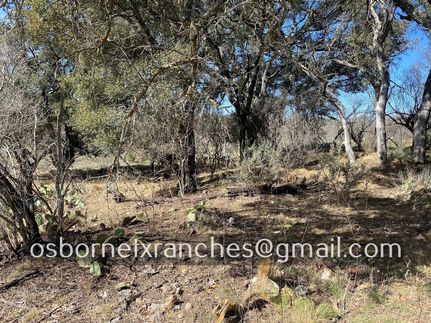 Hunting Property in Edwards County, Texas