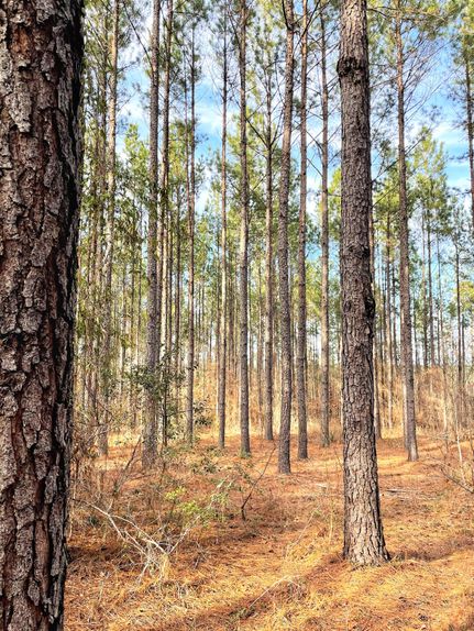 Recreational Property in Washington County, Georgia