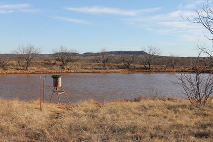Farm and Ranch in Taylor County, Texas