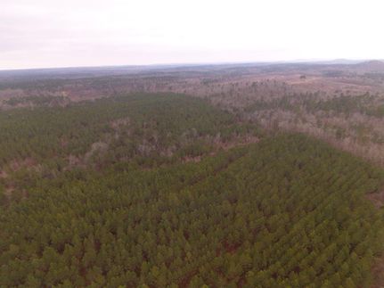 Undeveloped Land in Clark County, Arkansas