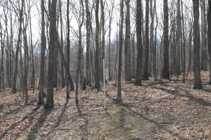 Land in Hampshire County, West Virginia