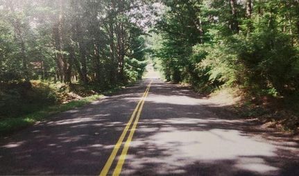 Undeveloped Land in Chemung County, New York