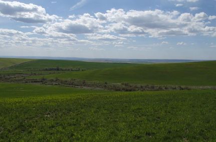 House in Umatilla County, Oregon