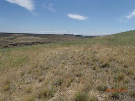 Undeveloped Land in Umatilla County, Oregon