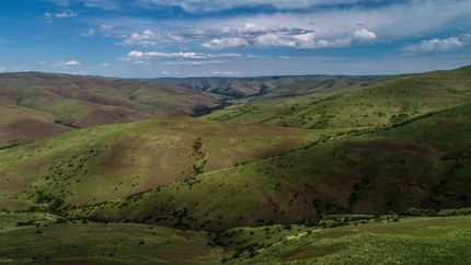 Undeveloped Land in Umatilla County, Oregon