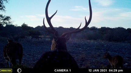 Farm and Ranch in Edwards County, Texas