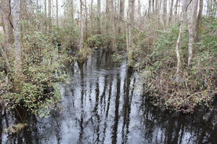 Farm and Ranch in Lee County, South Carolina