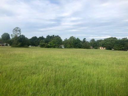 Undeveloped Land in Lamar County, Texas