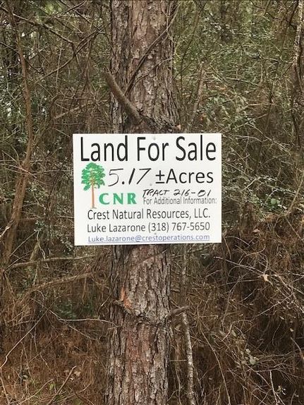 Farm and Ranch in Sabine Parish, Louisiana