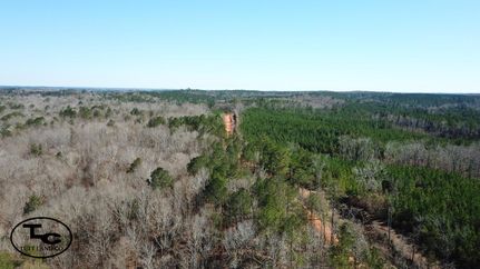 Timberland Property in Perry County, Alabama