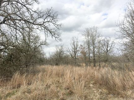 Undeveloped Land in Caldwell County, Texas