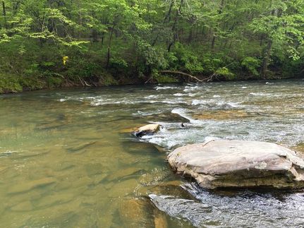 Recreational Property in Pickens County, Georgia
