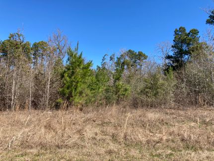 Farm and Ranch in Trinity County, Texas