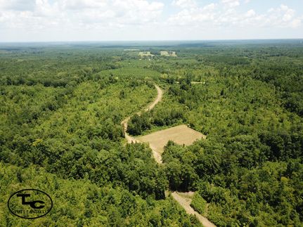 Timberland Property in Marengo County, Alabama