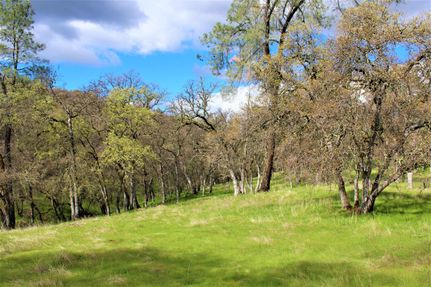 Farm and Ranch in Yuba County, California