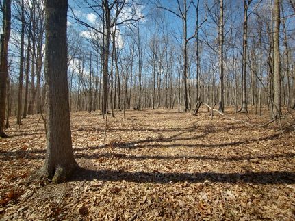 Land in Hampshire County, West Virginia