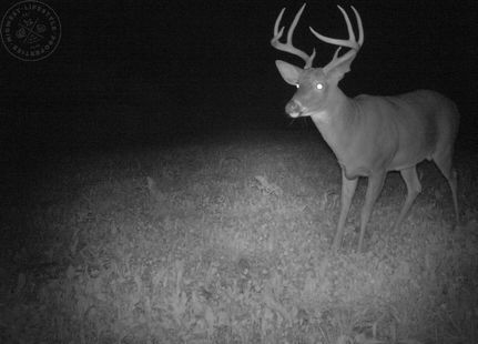 Farm and Ranch in Richland County, Wisconsin
