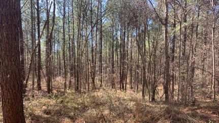 Farm and Ranch in Franklin County, Mississippi