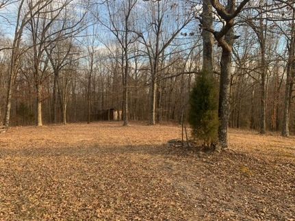 Land in Crittenden County, Kentucky