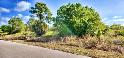 Undeveloped Land in Sarasota County, Florida