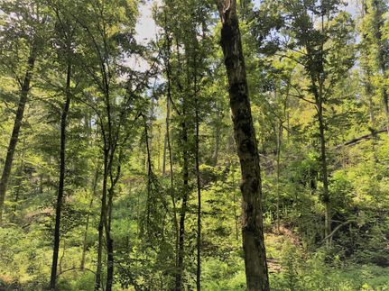 Recreational Property in Perry County, Tennessee