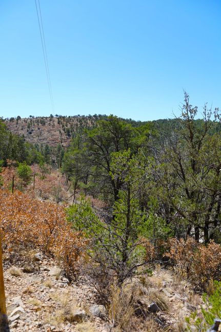 Farm and Ranch in Otero County, New Mexico