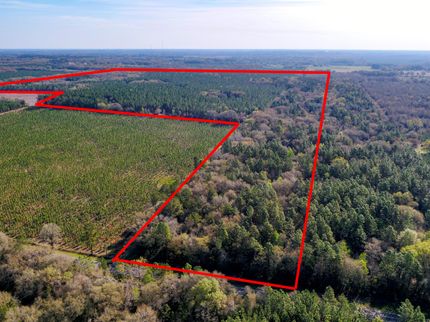 Farm and Ranch in Suwannee County, Florida