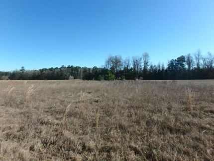 Undeveloped Land in Colleton County, South Carolina