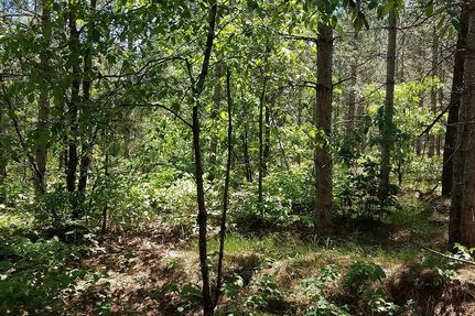 Farm and Ranch in Adams County, Wisconsin