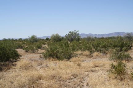 Farm and Ranch in La Paz County, Arizona