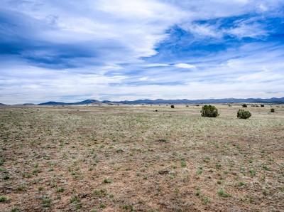 Recreational Property in Navajo County, Arizona