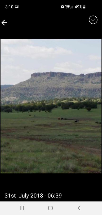 Horse Property in Grant County, New Mexico