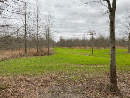 Timberland Property in Quitman County, Mississippi
