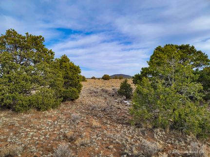 Farm and Ranch in Cibola County, New Mexico