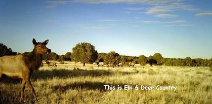 Farm and Ranch in Coconino County, Arizona