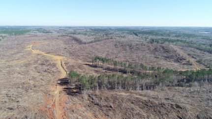 Commercial Property in Marion County, Alabama