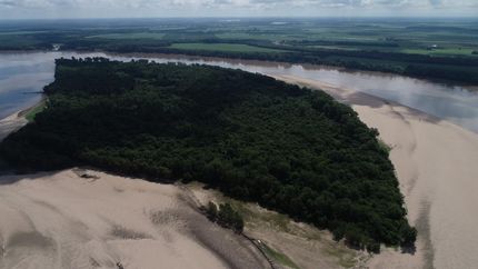 Farm and Ranch in Alexander County, Illinois