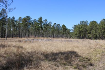Farm and Ranch in Horry County, South Carolina
