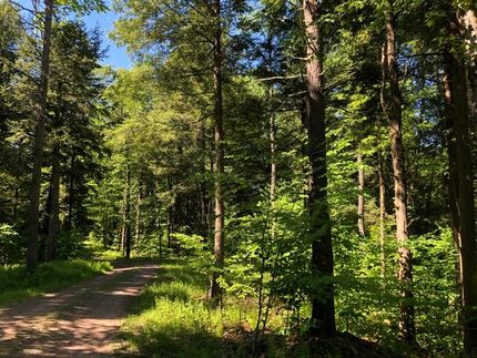 Commercial Property in Oneida County, New York