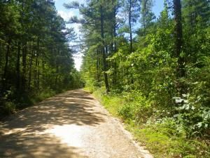 Undeveloped Land in Howell County, Missouri