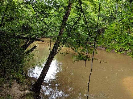 Recreational Property in Dale County, Alabama