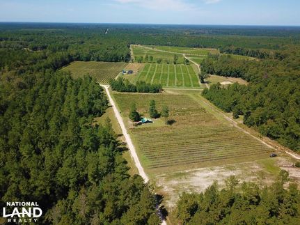 Recreational Property in Bamberg County, South Carolina