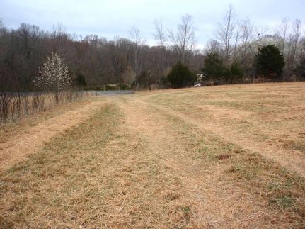 Timberland Property in Russell County, Kentucky