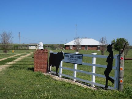 Timberland Property in Falls County, Texas