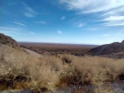 Farm and Ranch in Kern County, California