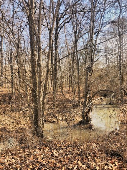 Hunting Property in Livingston County, Kentucky