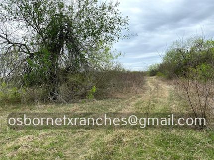 Hunting Property in Duval County, Texas