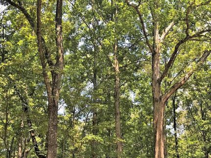Land in Shelby County, Alabama