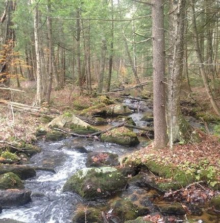 Riverfront Property in Oneida County, New York