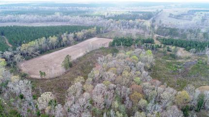 Farm and Ranch in Butler County, Alabama